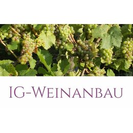 IG Weinanbau e.V. Logo